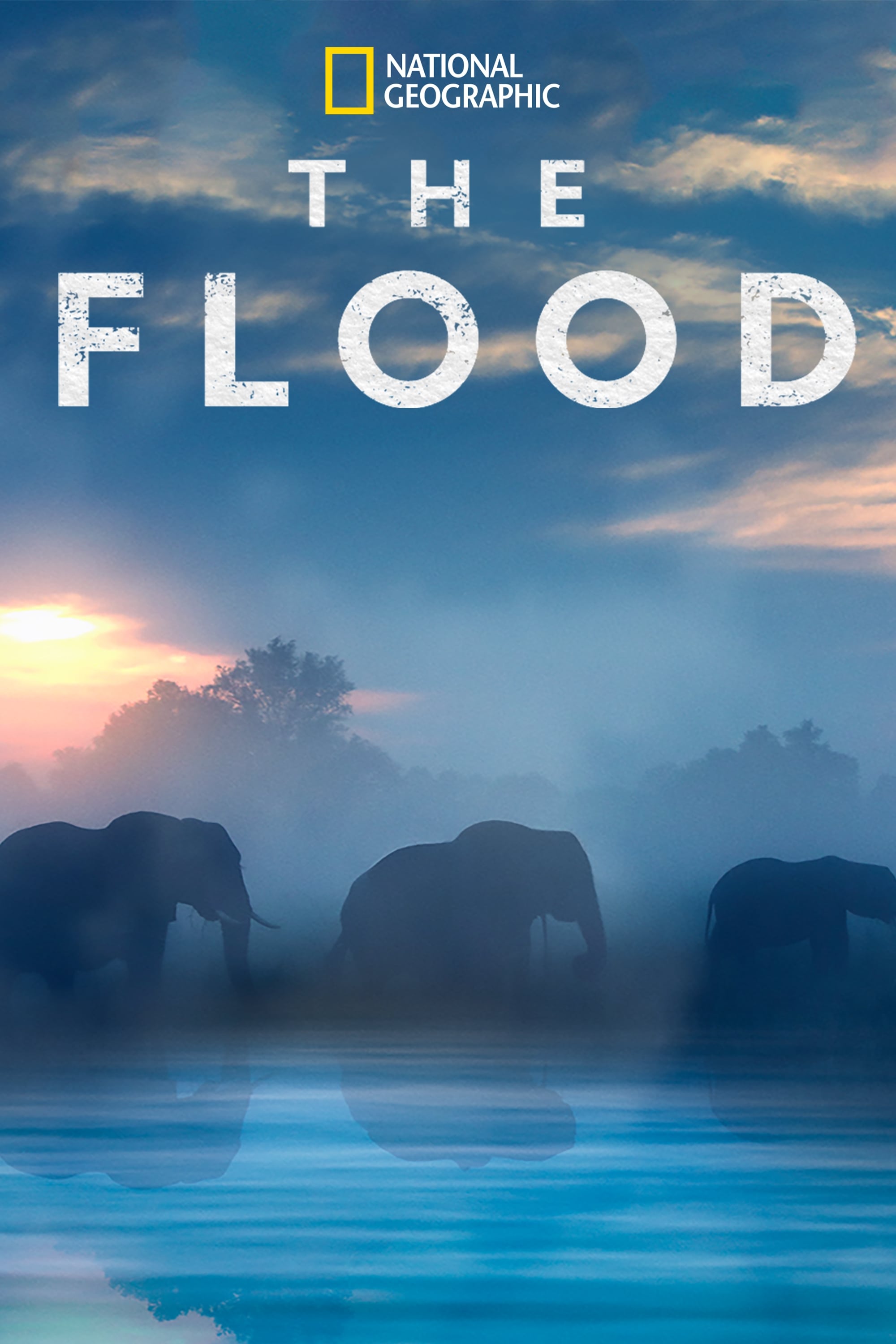 Постер The Flood